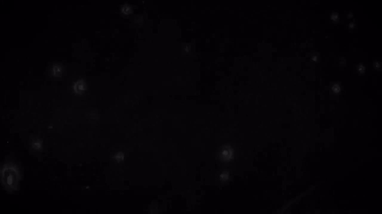 第一季ED1：美しき残酷な世界（美丽而残酷的世界）