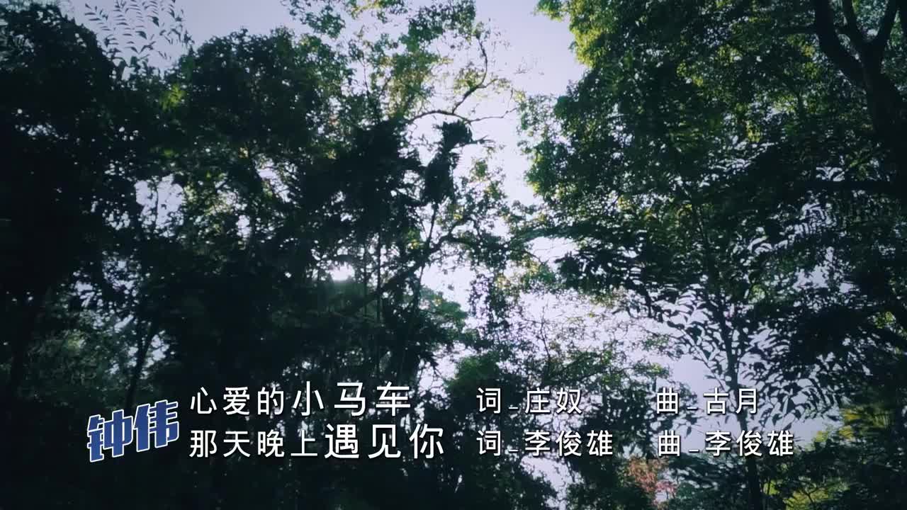 03. 心爱的小马车 + 那天晚上遇见你