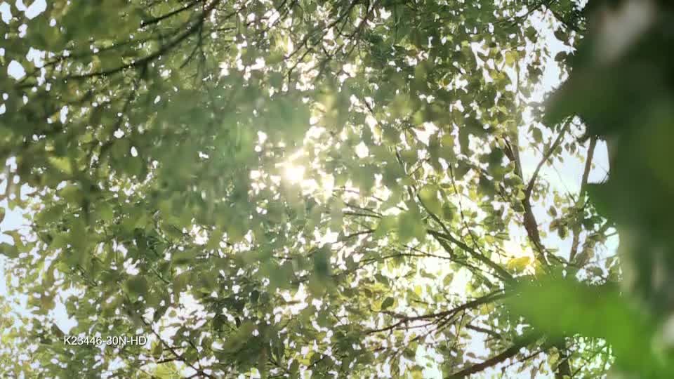 新雪菜笋丁鸡肉粥