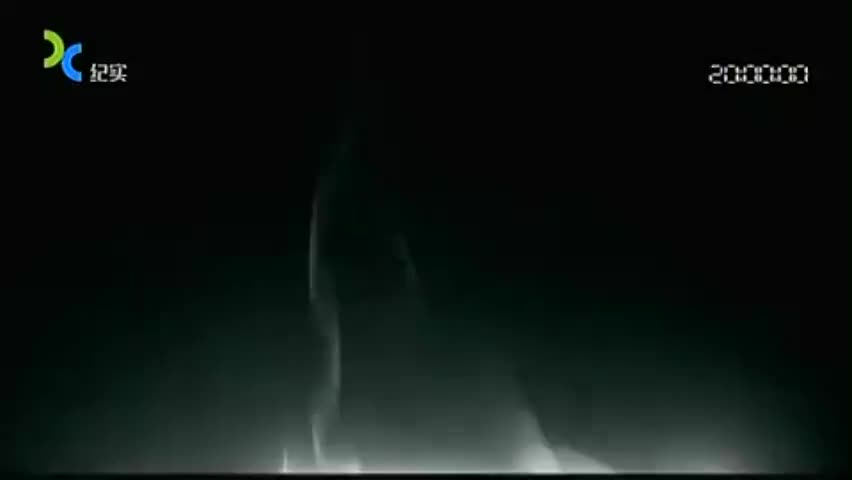 《大师》93 吴昌硕（下）