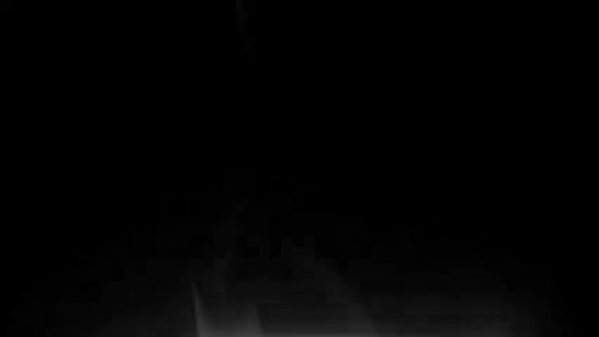 《大师》70 潘天寿（上）