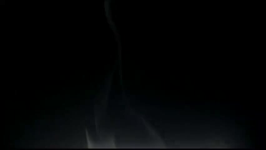 《大师》85 王力