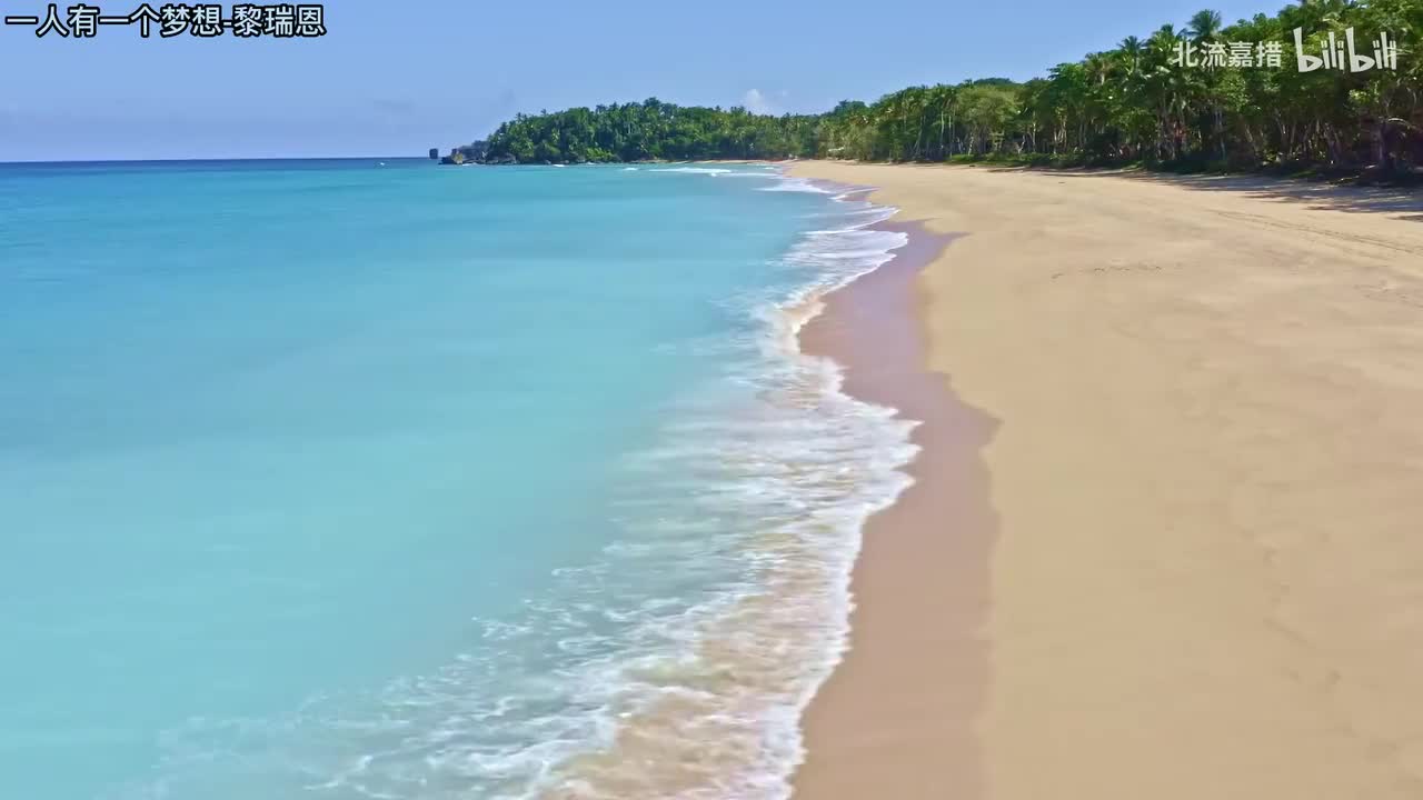 30.一人有一个梦想-黎瑞恩