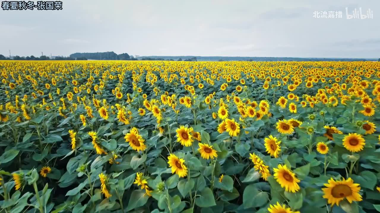 46.春夏秋冬-张国荣