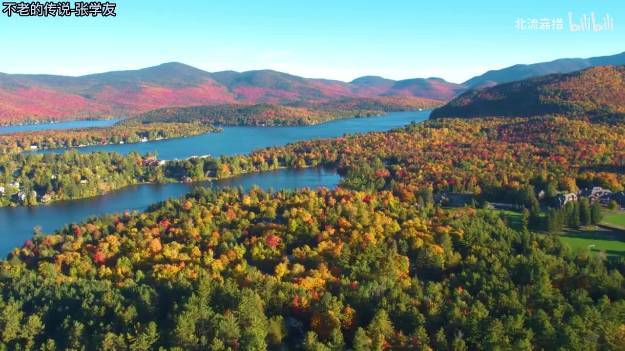 13.不老的传说-张学友