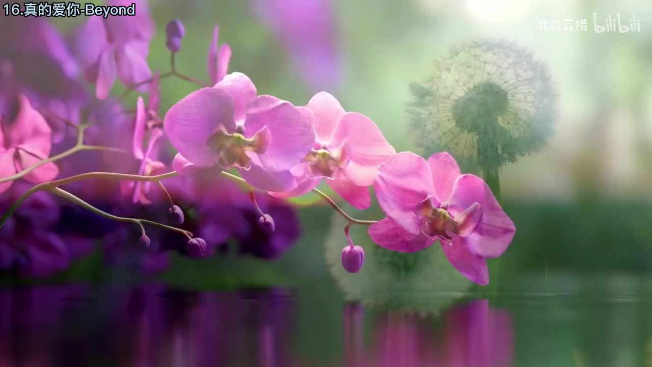 16.真的爱你-Beyond