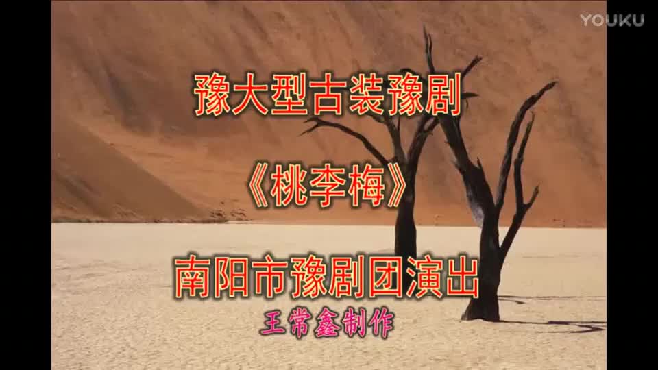 豫剧 桃李梅南阳市豫剧团_高清