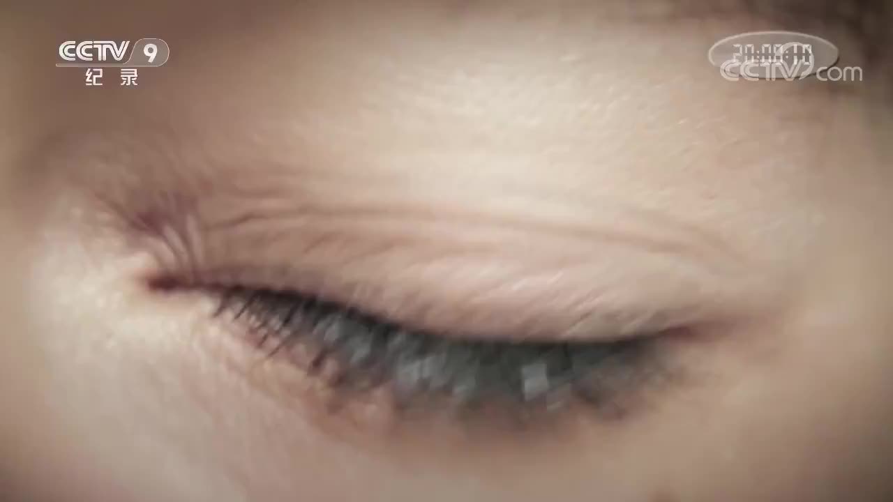 7 未来将至（上）