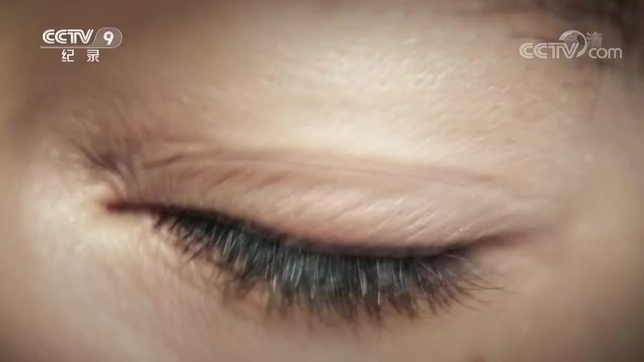 2 无用之用（下）