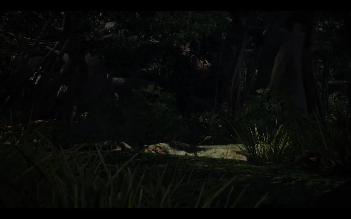 跻身于三强之间（雷娘这眼神awsl）