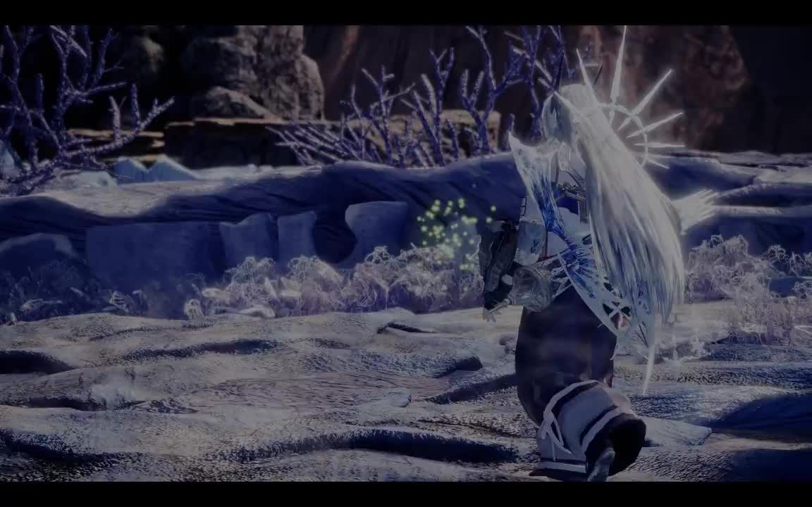 捕食者的地盘争夺（你竟敢给我一比斗！！）