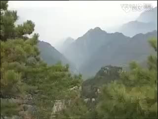 黄梅戏＜猪八戒招亲＞高清_标清