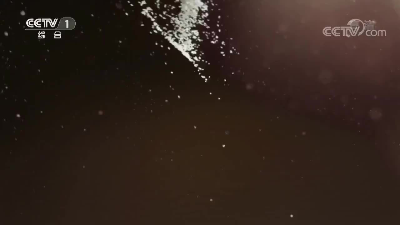 《中国粮的奇迹》 第三集 丰盈餐桌