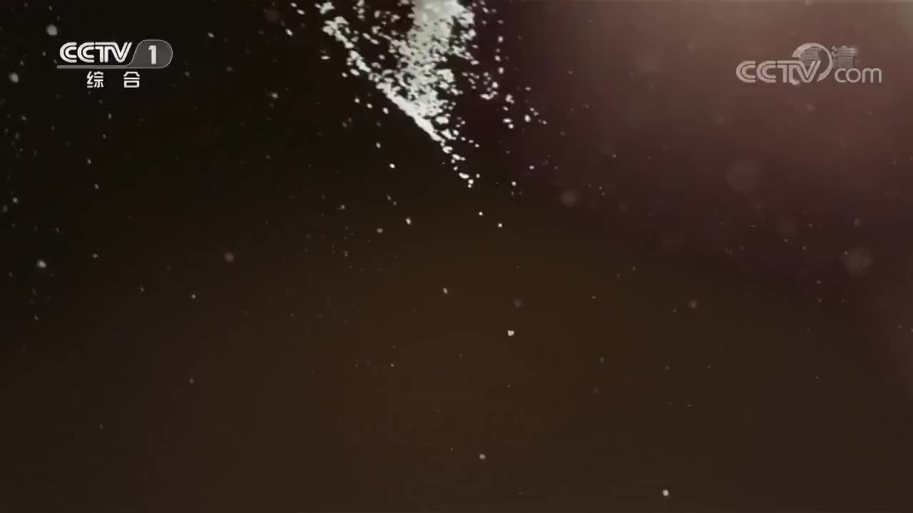 《中国粮的奇迹》 第四集 品质未来