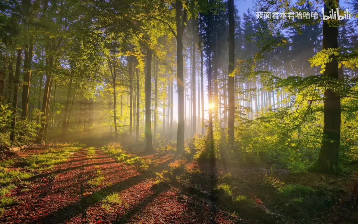 49.陶笛-犹豫的泥巴 - 森林狂想曲（陶笛）