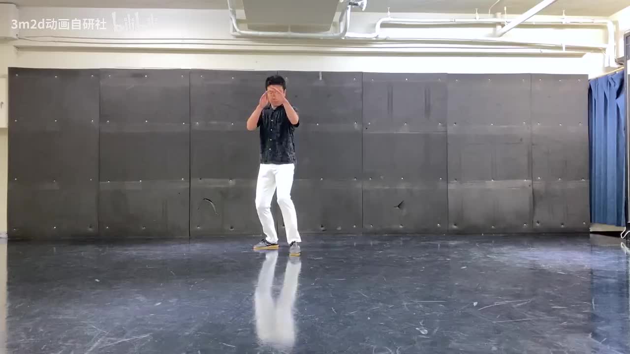 【格斗术】单腿支撑三连踢 Animation reference by 3D2M