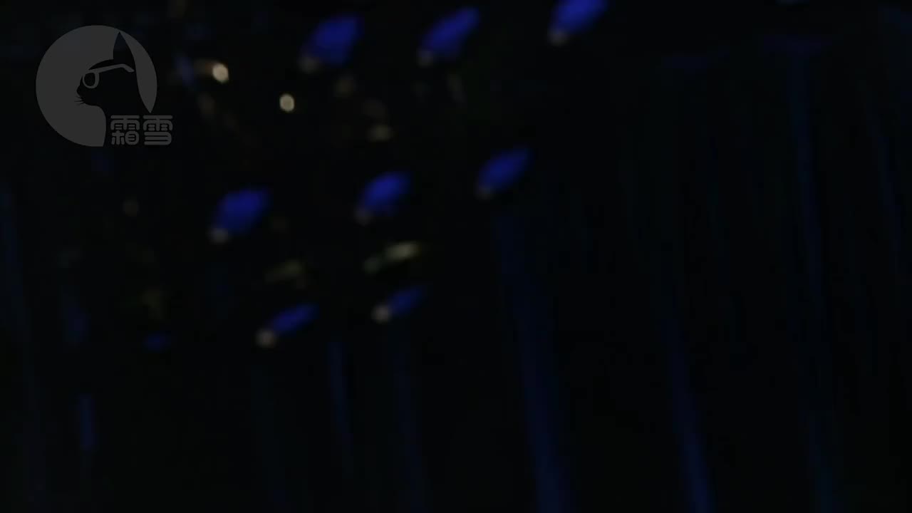 Can't forget your love