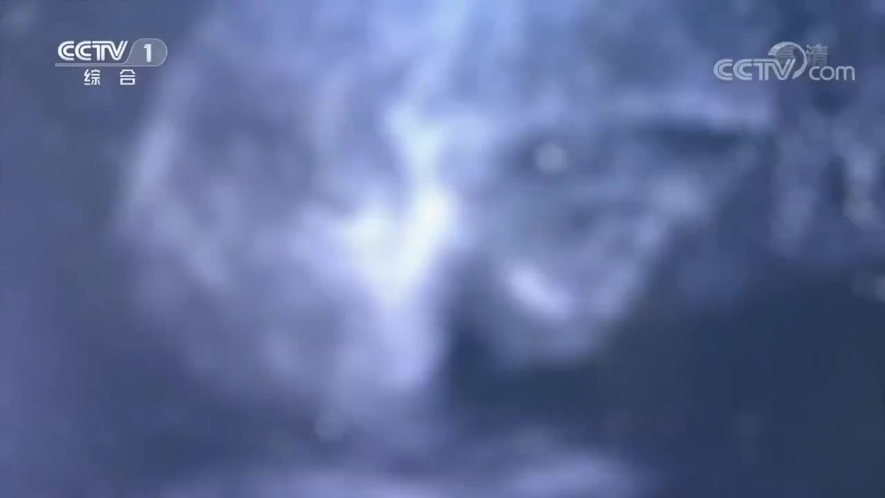 《当非遗遇上冬奥》 20220221 火绘葫芦[超清版]