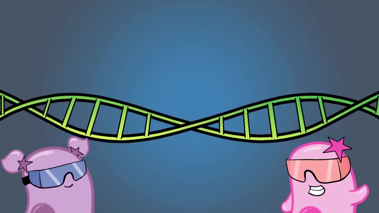 一般实验室安全 24-General Lab Safety