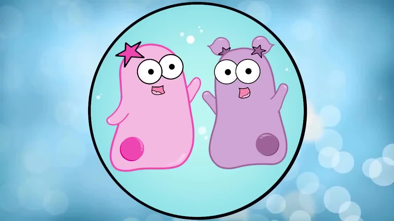 细胞简介 5-Introduction to Cells The Grand Cell Tour