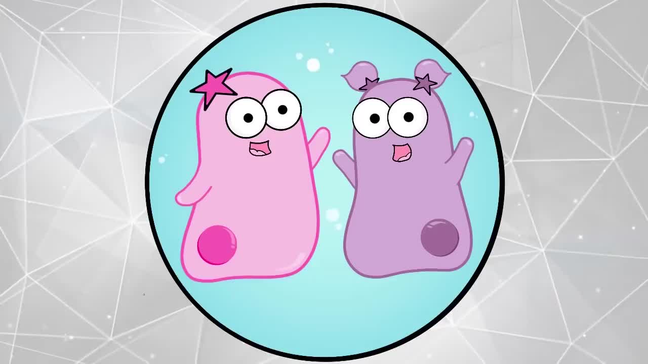 分类 35-Classification