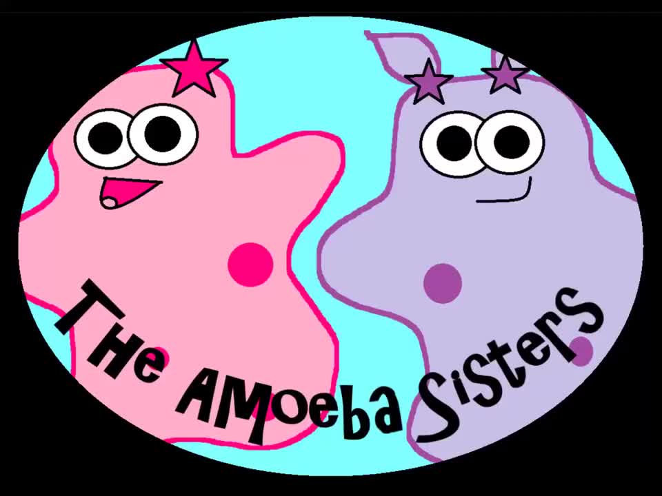 DNA的结构和功能 52-(OLD VIDEO) DNA Structure and Function