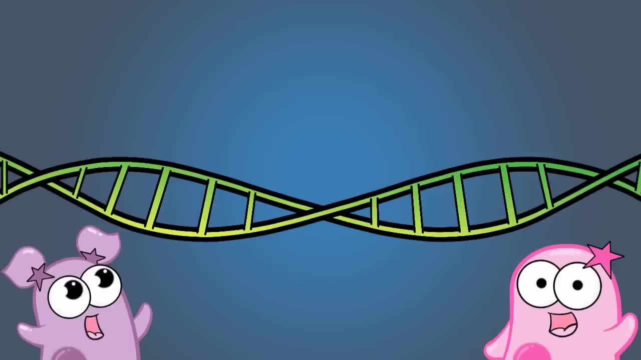 凝胶电泳 46-Gel Electrophoresis