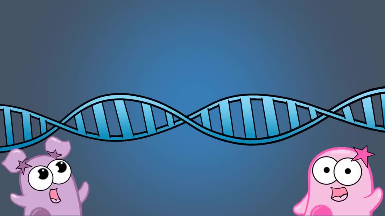 有丝分裂和减数分裂比较 8-Mitosis vs. Meiosis Side by Side Comparison