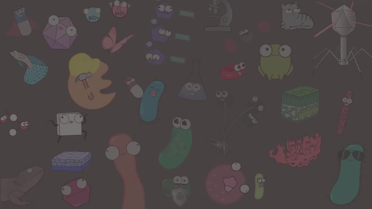 细胞信号传导入门 75-Intro to Cell Signaling