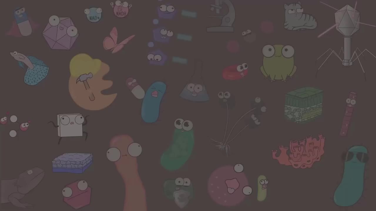 消化系统 78-Digestive System