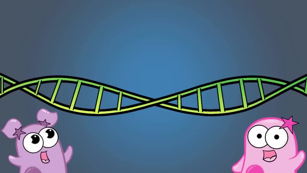 无性生殖和有性生殖 29-Asexual and Sexual Reproduction