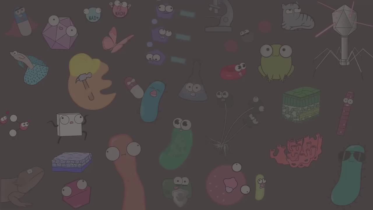 DNA vs RNA( 23-DNA vs RNA (Updated)