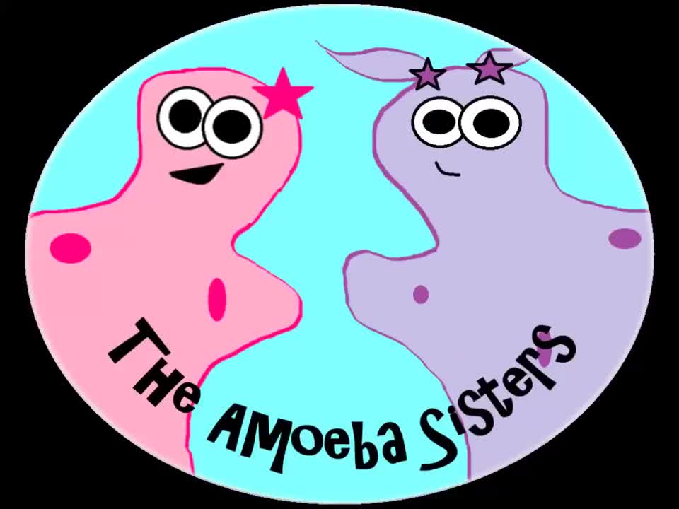 (旧视频)酶 92-(OLD VIDEO) Enzymes