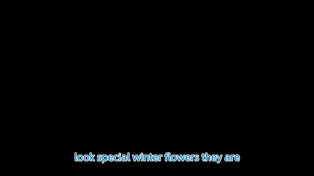 079. Guess How Much I Love You - SOMETHING SPECIAL