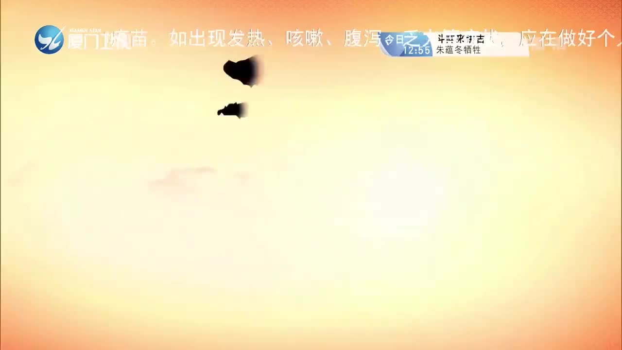 柳君拂（3） 斗阵来看戏 2021.08.03 - 厦门卫视