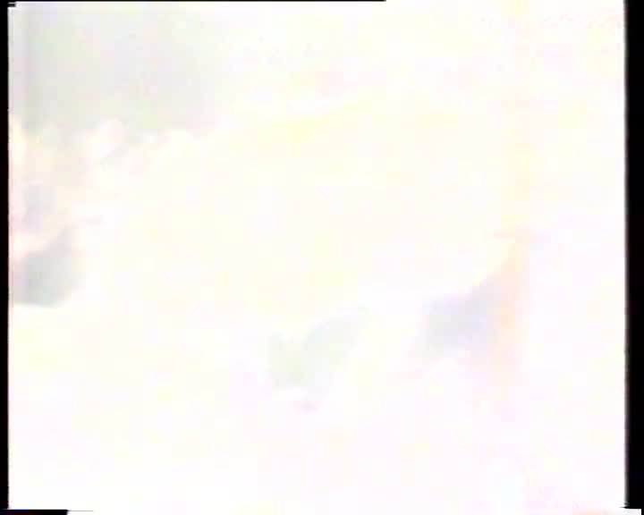 西游记21错坠盘丝洞_batch