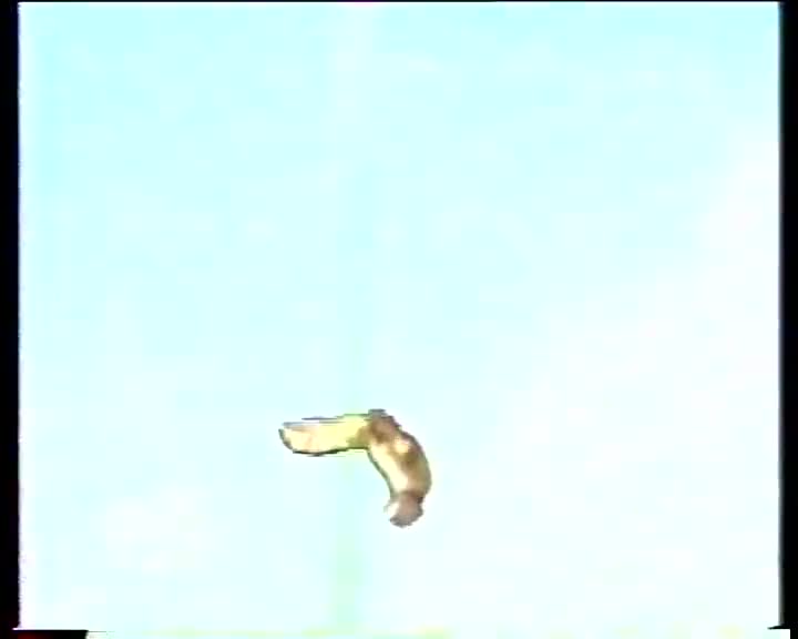 西游记06祸起观音院_batch