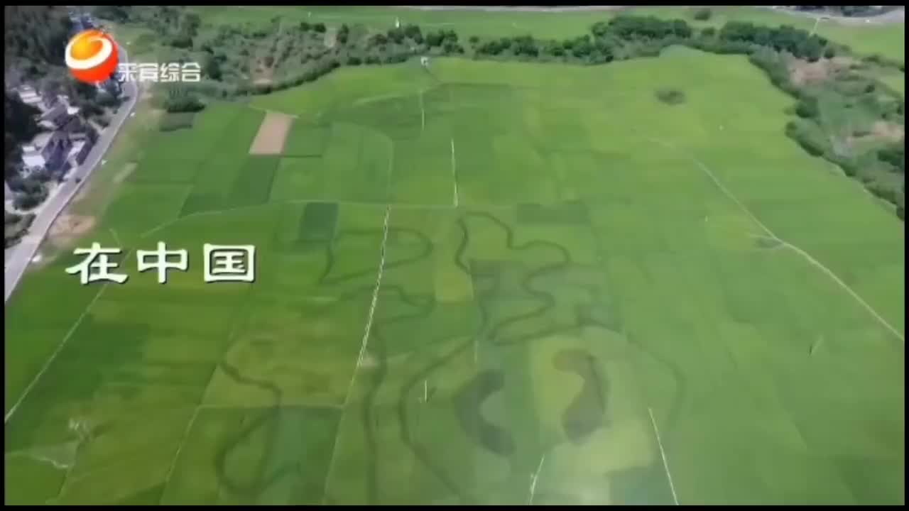 来宾综合频道