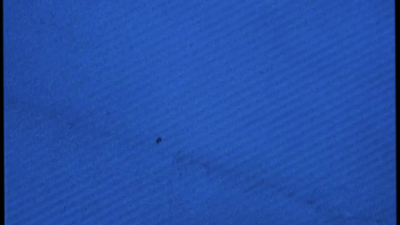 Attention (dylonmaycel rearranged)