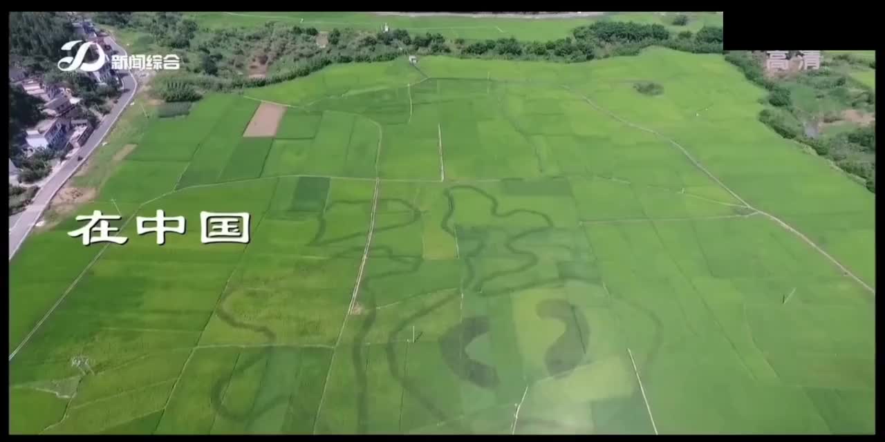 丹东新闻综合频道