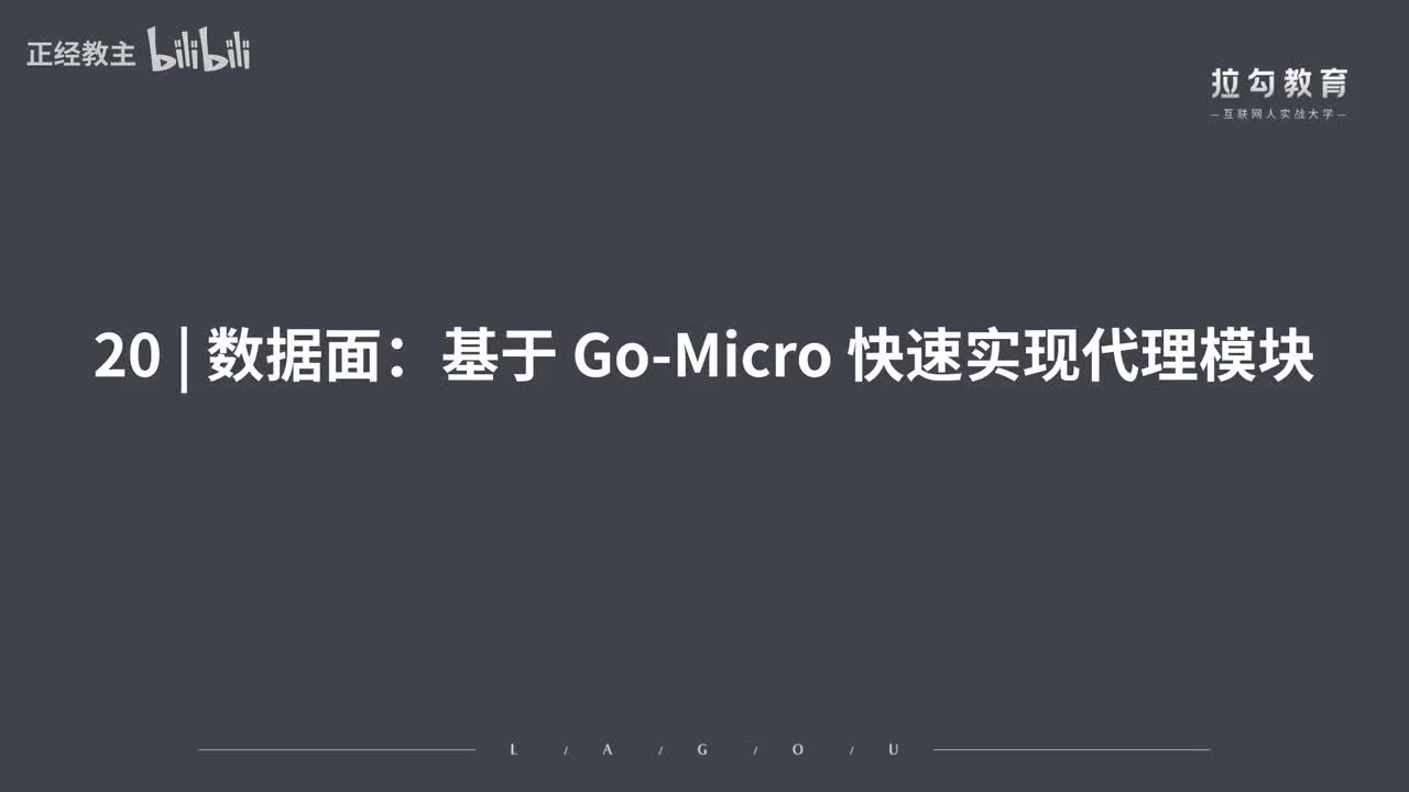 ServiceMesh20.数据面：基于 Go-Micro 快速实现代理模块