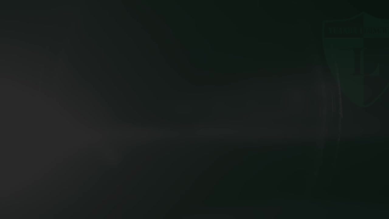 初中化学实验13《研究金属与盐酸的反应》