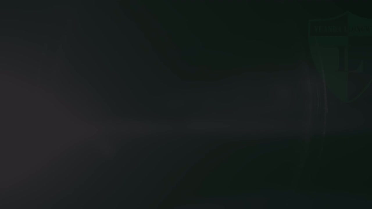 初中化学实验01《化学电池研究》