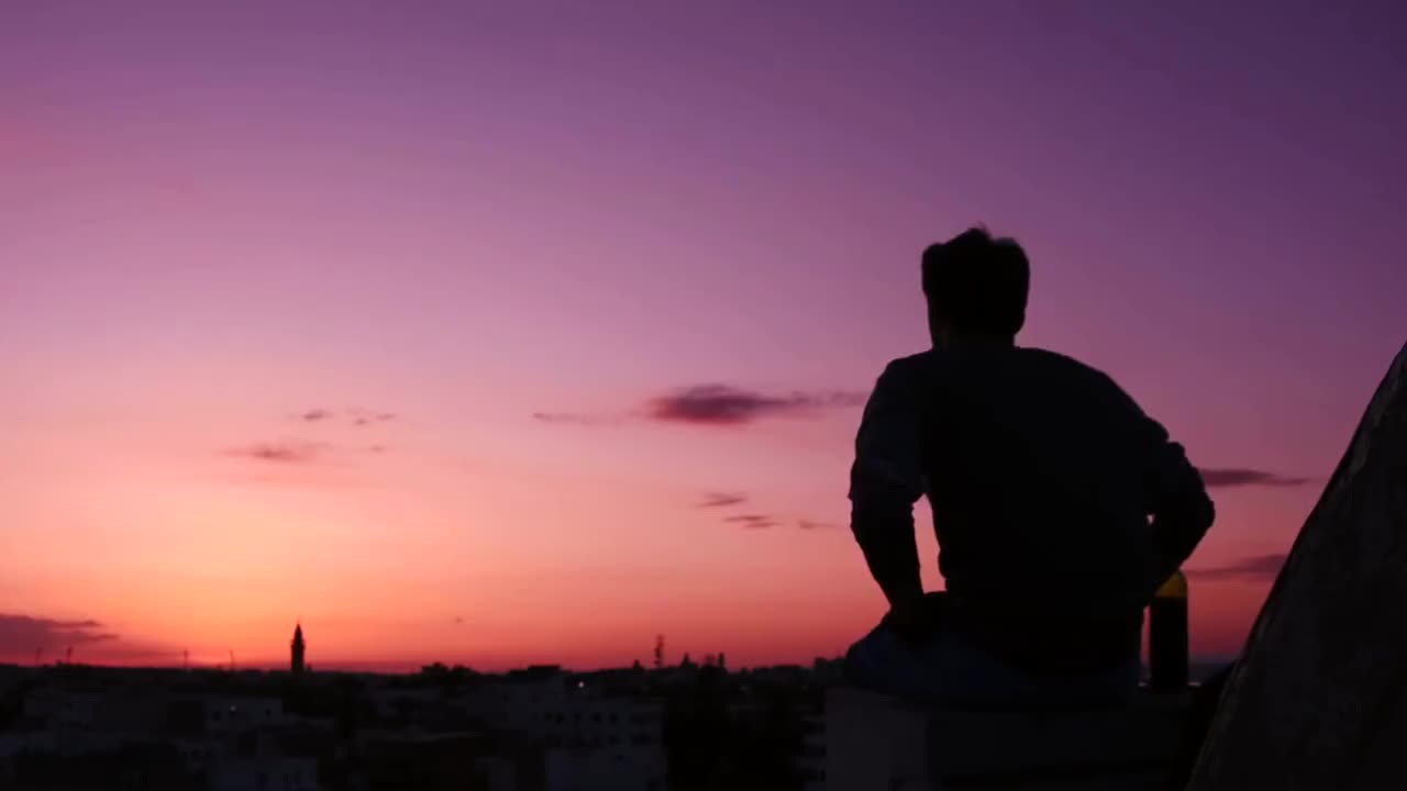 Pexels Videos 1966695