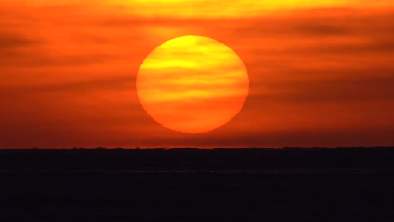 pexels-dmitry-varennikov-8241243