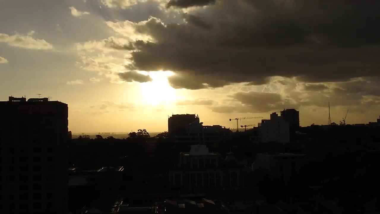 Pexels Videos 1654208