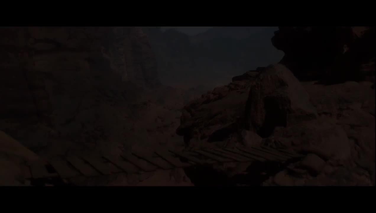 西奈沙漠防守方