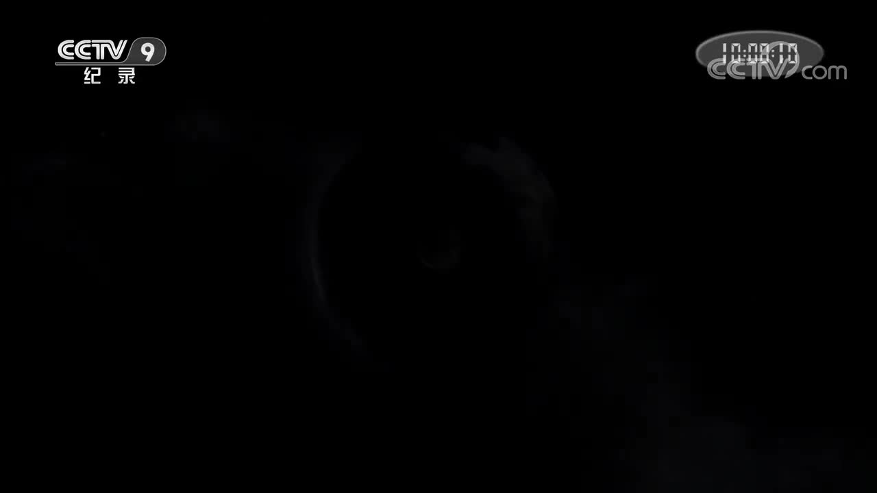 第4集 草木之间