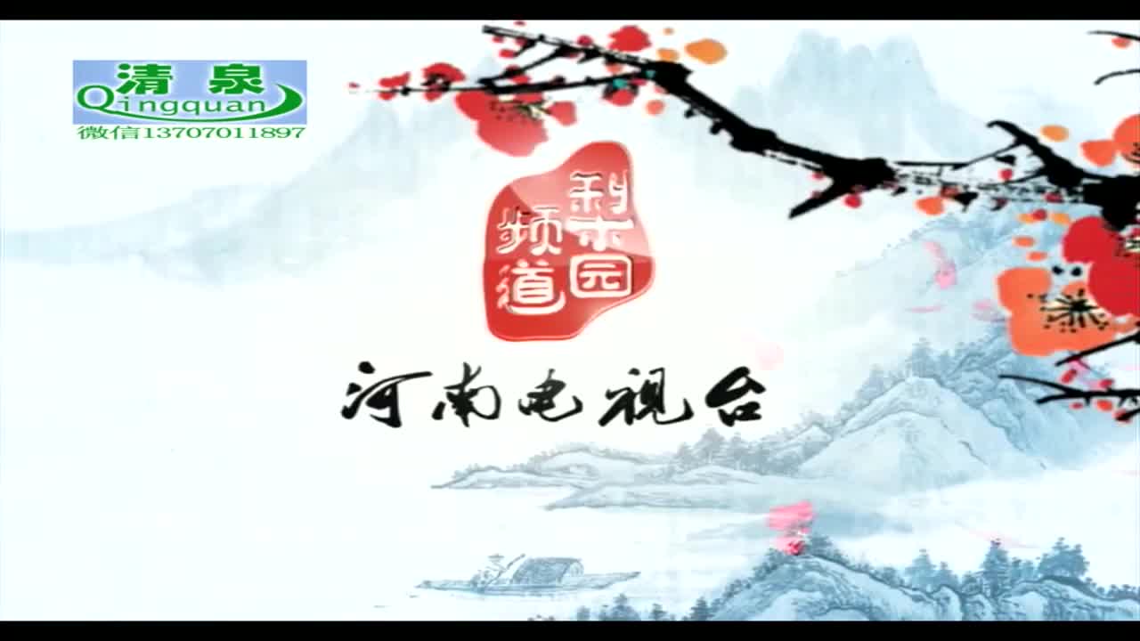 河南坠子《刘公传奇》18
