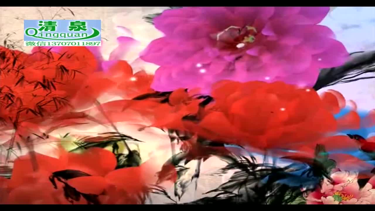 河南坠子《刘公传奇》28